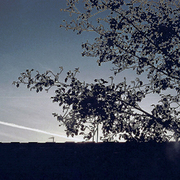 Silver_days_card