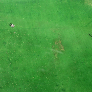 Green_playground_card