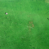 Green_playground_thumb