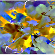Flower_revolution_card