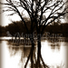 Solitude_square