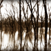 Flooded_square