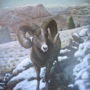 04-ram_card