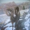 04-ram_thumb