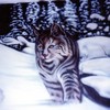 01-_bobcat_thumb