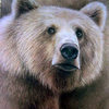 Grizzly_edited_thumb