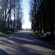 Venice_park_smaller_card