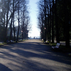 Venice_park_smaller_thumb