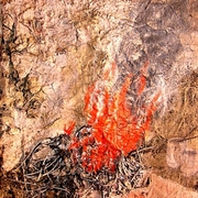 Fuego_card