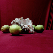 Nature-morte-aux-complement_card