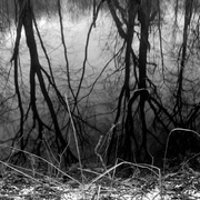 Contoocook_river_card