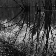 Contoocook_river__3__card