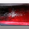 Write_lepolsk_matuszewski_2008__action_painting__thumb