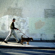18_dog_walker_card