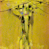 The_dream_catcher_thumb