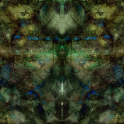 They_come_out_at_night_card