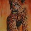 Babyleopard_thumb