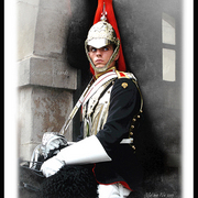 Royal_horse_guards_a_card