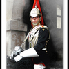 Royal_horse_guards_a_thumb