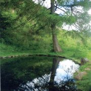 Reflection_card