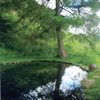 Reflection_thumb