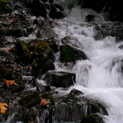 _mg_0112_card