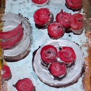 Fruta_card