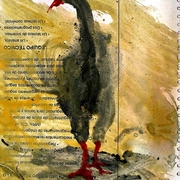 Img_2167_card