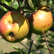 Img_0480_card