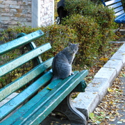 Img_0504_card