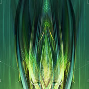 Display_card
