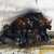 Villhunder_tiny_square