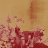 Herbst_028_thumb