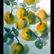 Fruta14_card