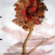 Img_1948_card