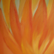 Dsc07100_card