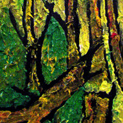 Woods_card