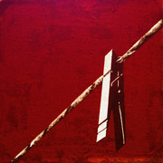 Pinza_card