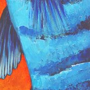Fancy_fish_8_150x35cmkopie_2_card
