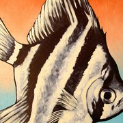 Flying_fish_four_20_130x70kopie_2_card