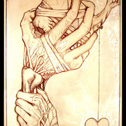 Equisurvive2_card
