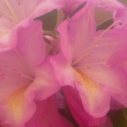 P1020202_card
