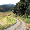 過疎の村_thumb