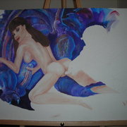 Bdgfive_001_card