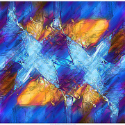 Walkaround_card