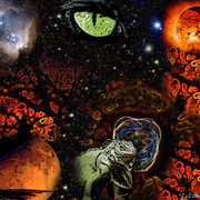 El_ojo_de_la_noche_card