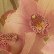 P1020211_card