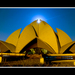 _dsc0223_square