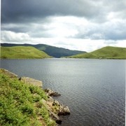 Img028_card