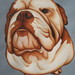 Dogfather_square